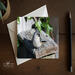 A blank folding greeting card featuring nature photography of a tufted titmouse on a bird house at Cove Creek Photography.